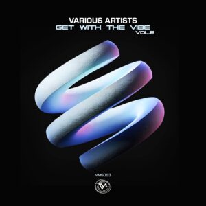 Various Artists - Get with the Vibe, Vol.2