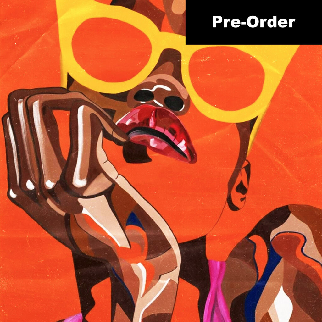 [Vinyl] Various Artists: Feel The Vibe